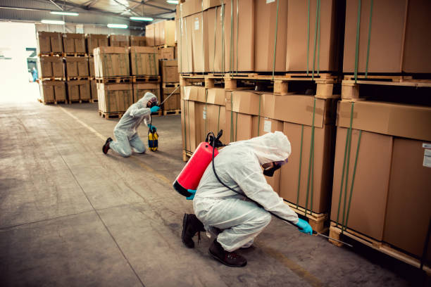 Best Ant Control Services  in Hughson, CA