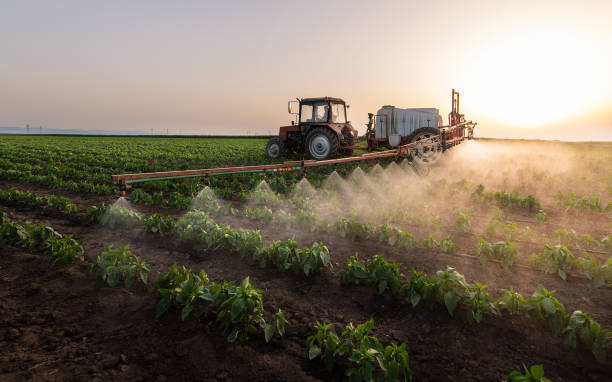 Best Local Pest Control Services  in Hughson, CA