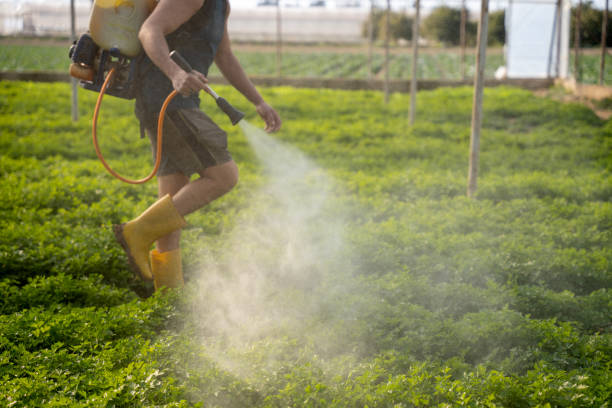 Best Pest Inspection Near Me  in Hughson, CA