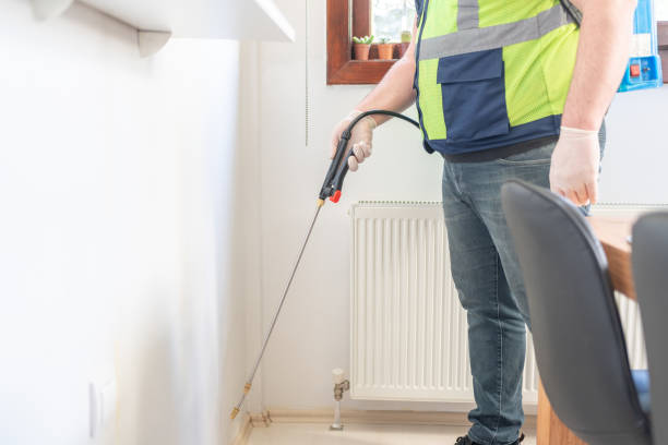 Best Rat Extermination Near Me  in Hughson, CA