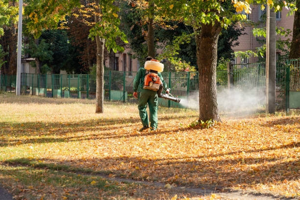 Best Best Pest Control Companies  in Hughson, CA