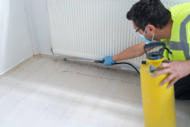 Best Cockroach Control Services  in Hughson, CA