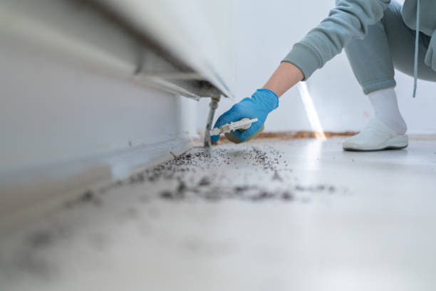 Best Bed Bug Extermination  in Hughson, CA