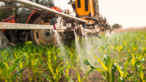 Best Insect Control  in Hughson, CA
