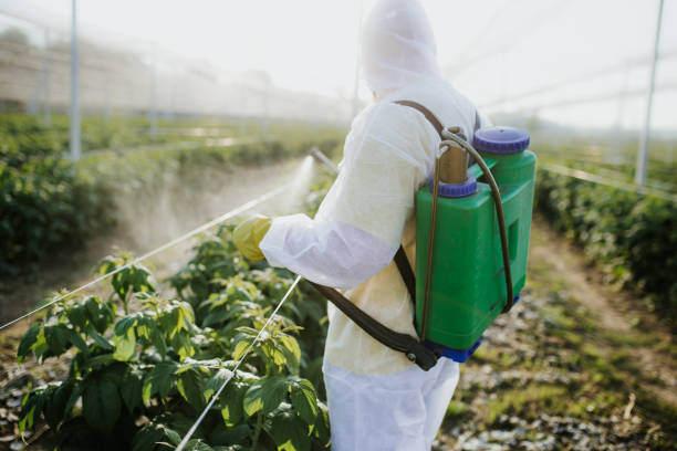 Best Affordable Pest Control Services  in Hughson, CA